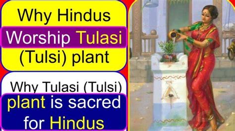 kerala queen tulasi|tulasi Archives .